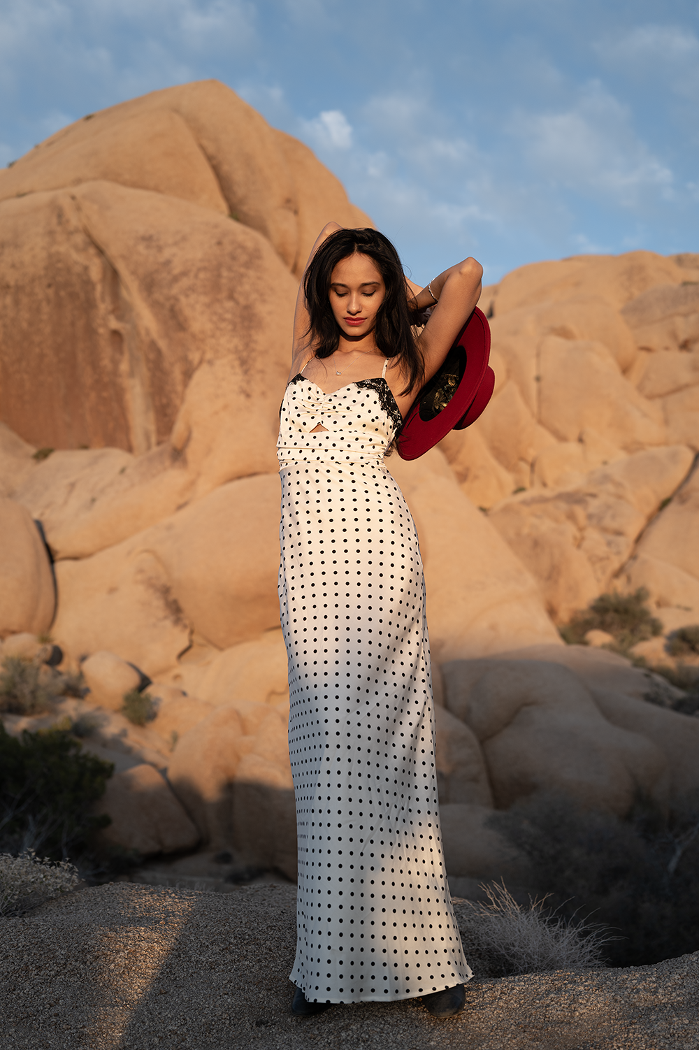 Celine Dot Slip Dress with Lace Trim